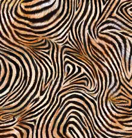 MINKY PRINTS             